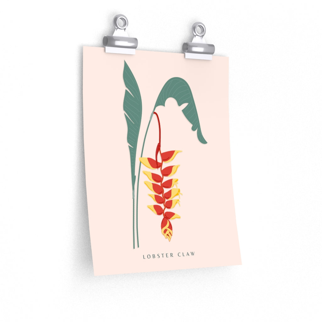 Lobster Claw - Premium Matte Posters