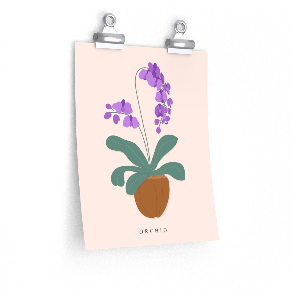 Orchid - Premium Matte Posters